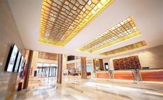 Yueyang Grand Skylight Hotel - Yueyang - 8