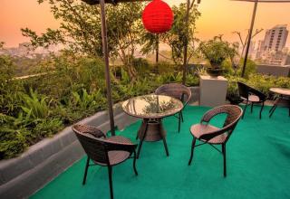 Tropical Daisy - Dhaka - 4