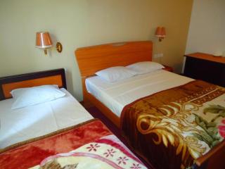 Stamford Star Hotel - 3