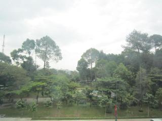Vy Vy Hotel - 1