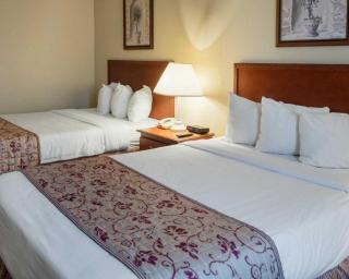 Rodeway Inn Greenville - 3