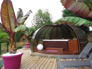 L'imprévu - Vaulnaveys-le-Bas - 1