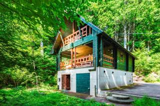Phoenix Chalets by HHG - Hakuba - 9
