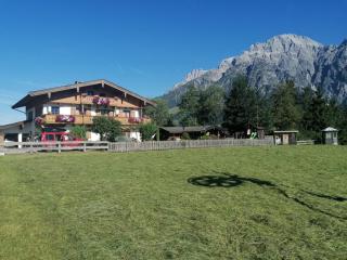 Ferienhaus Scheiber - Leogang - 0
