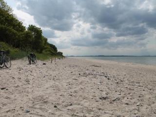 Strandbank - Groß Schwansee - 7