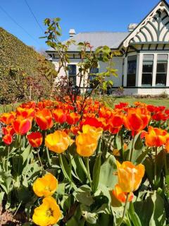 Burnside Homestead - Oamaru - 3
