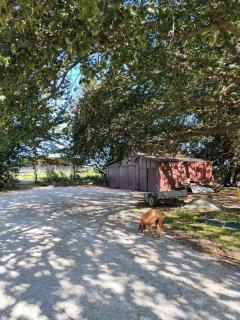 Burnside Homestead - Oamaru - 5