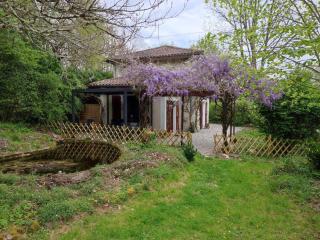 Le vieil orme - 9