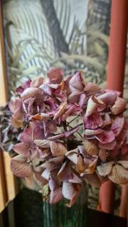 Le Jardin Divers - 2