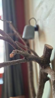 Le Jardin Divers - 1