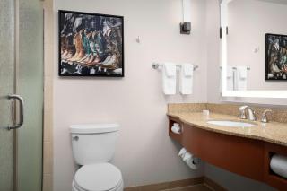 Hilton Garden Inn Fort Worth Medical Center - 1