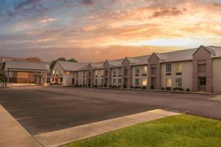 Comfort Inn Petersburg Near Fort Gregg-Adams - Petersburg - 8