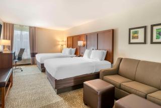 Comfort Inn Petersburg Near Fort Gregg-Adams - Petersburg - 5
