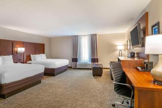 Comfort Inn Petersburg Near Fort Gregg-Adams - Petersburg - 2