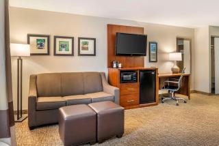 Comfort Inn Petersburg Near Fort Gregg-Adams - Petersburg - 1
