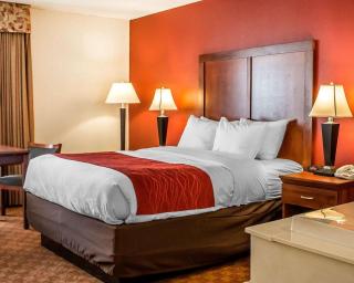 Quality Inn - Lima - 6