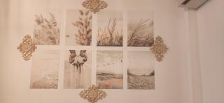 הקונכייה - 9