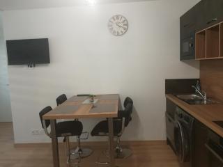RAVISSANT T3 NEUF - passage REXHOTEL - Tarbes - 9
