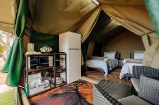 Peace Haven @ Windfarm Accommodation - Yzerfontein - 7