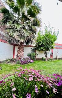 Ruta 89 Tupungato - 9