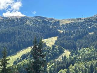 Grand appartement contemporain 10 pers, proche pistes et centre, ascenseur et Wifi inclus - FR-1-180-636 - Les Allues - 7