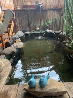 צימר אדיגה - 1