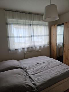 Kleine moderne Ferienwohnung - Tauscha - 4
