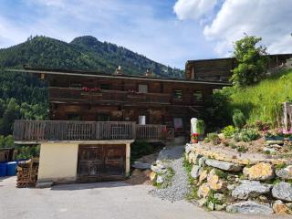 Bauernhaus Viehhauser - Hüttschlag - 7