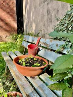 BLISS Homes GE RingCity - 3