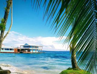 Casa Acuario Boutique Hotel - Bocas del Toro - 8