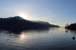 Hôtel du Grand Lac Excelsior - Montreux - 8