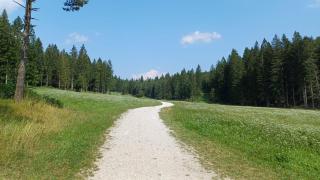 Mirabel Suite - Lovely Home - - 7