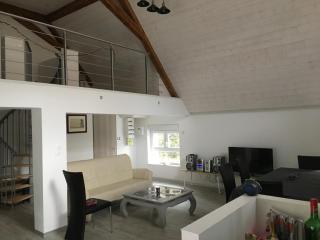Gite chez L'Olivier - Linthal - 7