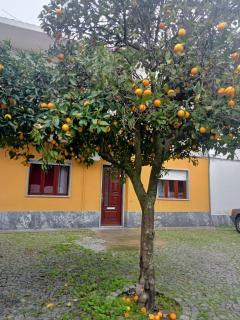 Evora Domus - Évora - 0