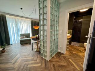 Art & SunSki Studio z garażem podziemnym - Krynica Zdrój - 1