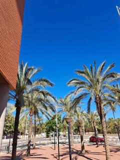 Costa Palmeral in Sunny Spain! - Playa de los Nietos - 1