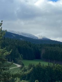 Studio face aux pistes avec wifi - Villard-de-Lans - 1