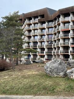 Studio face aux pistes avec wifi - Villard-de-Lans - 3