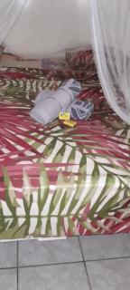 Penu Maurua 2 - Te-Fare-Arii - 0