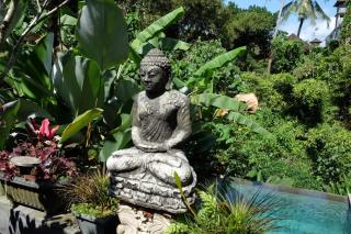 Suastika Guest House Ubud - 4