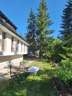 Apartmani Viktory - Gornja Šišava - 9
