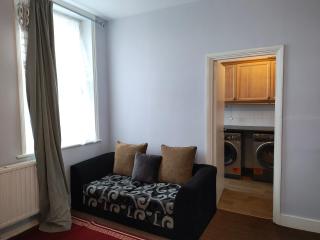 The Highbury & Islington Studio 2 Single Beds - Londra - 7