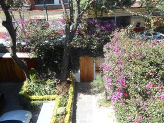 Terraza & Loft San Ángel - Città del Messico - 1