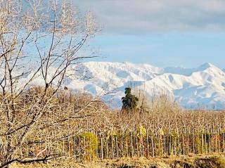 Ruta 89 Tupungato - 8