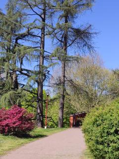 Casa Vacanze Tigli - 2