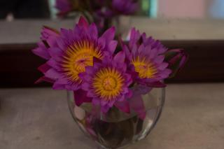 Sinharaja Hostel - 6