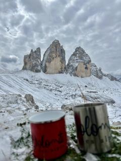 Hotel Dolomiti Des Alpes - Misurina - 1