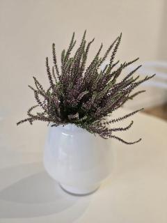 TOTie Apartament Przedmieście - 4