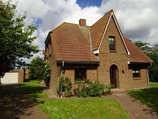 Holiday home gray seal - Midlum - 5