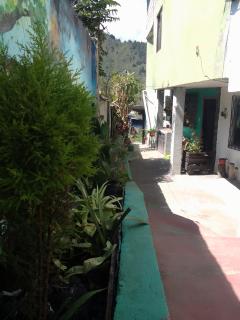 Casa verde - Baños - 0